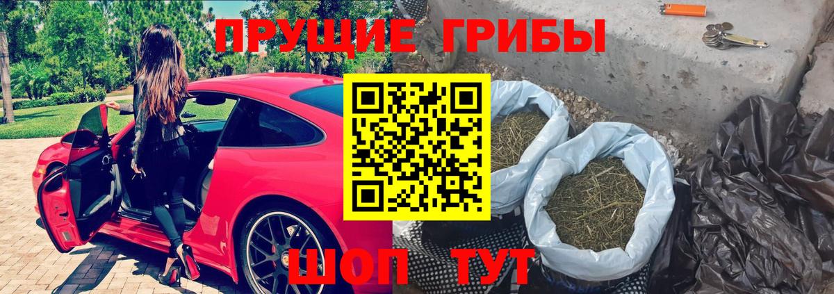 Галлюциногенные грибы MAGIC MUSHROOMS Сорочинск