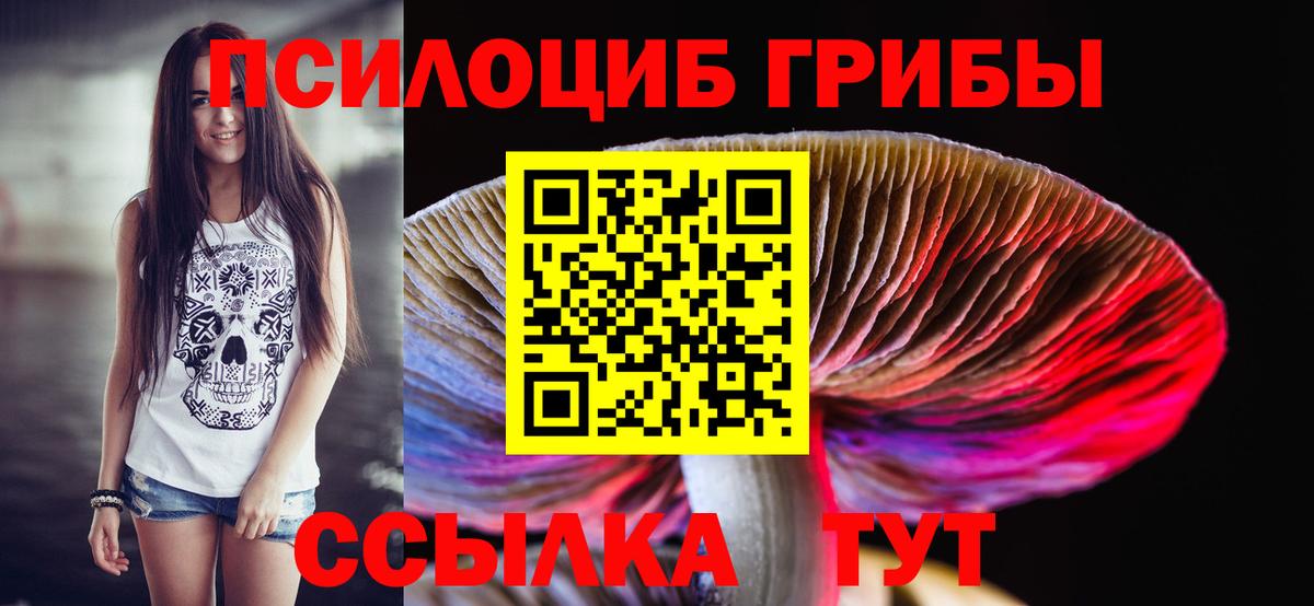 Галлюциногенные грибы ЛСД  Галлюциногенные грибы Cubensis  Сорочинск  купить наркотики сайты  Вход с VPN 